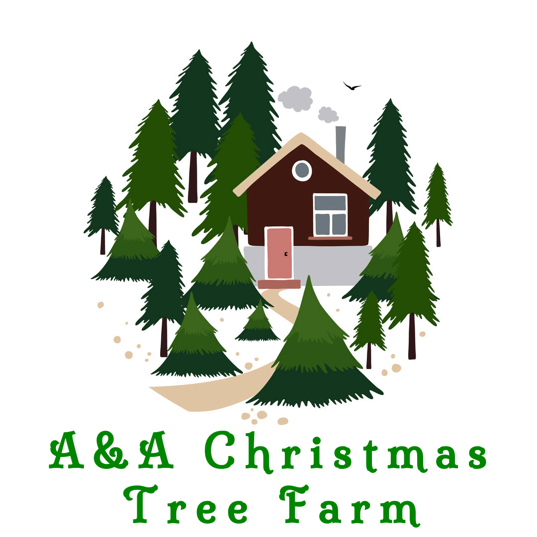 A & A Christmas Tree Farm