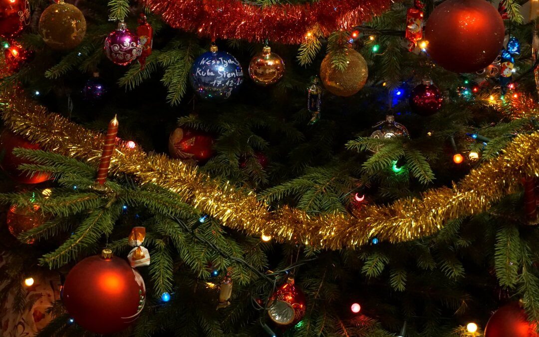 Christmas Tree Trivia